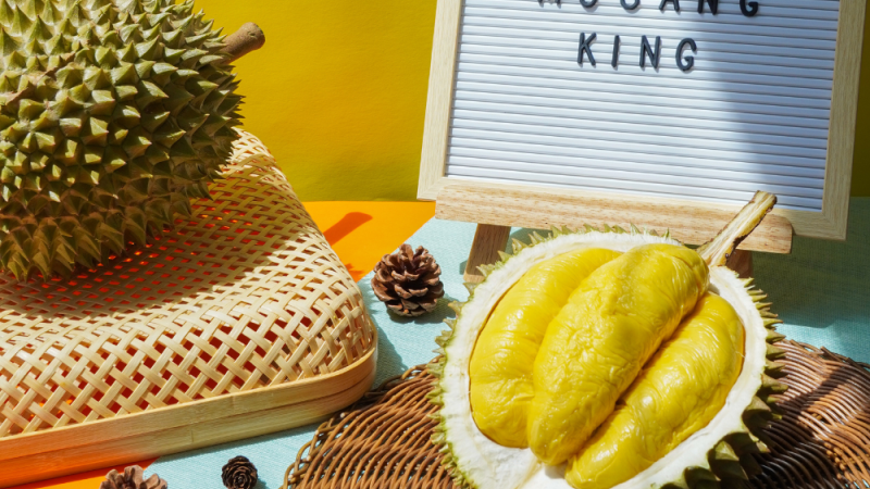 The Lifestyle & Wellness Angle